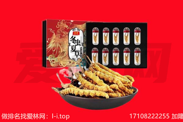 信阳市光山回收虫草.jpg